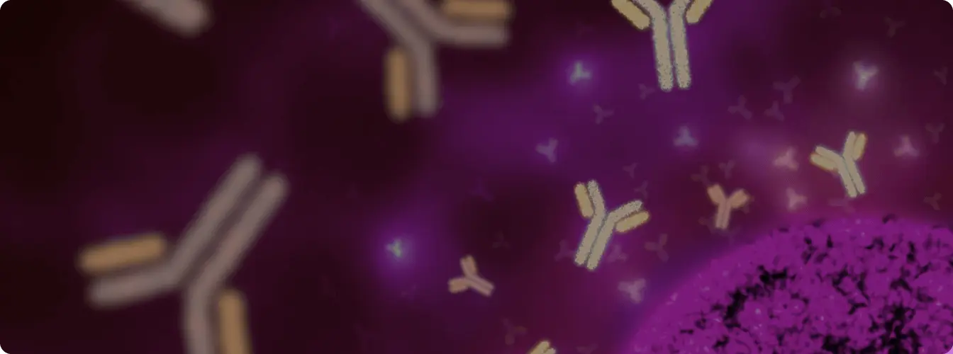 hero banner