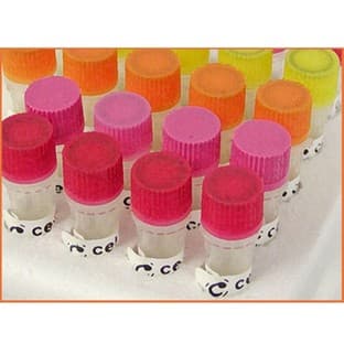 Recombinant Proteins avatar