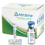 PurKine™ His-Tag Protein Purification Kit (Ni-NTA)