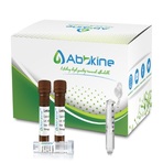 LinKine™ AbFluor™ 350 Labeling Kit