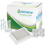 EliKine™ Human CD54 ELISA Kit