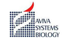 Aviva Systems Biology Incorporated