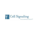 Cell-signaling-technology-p