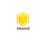 Abclonal-product-image