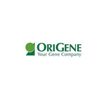 Origene-product-image