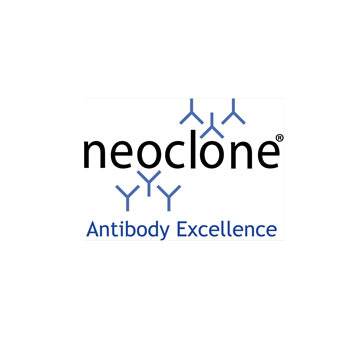 Myeloperoxidase Antibody