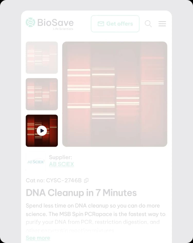 video example screenshot