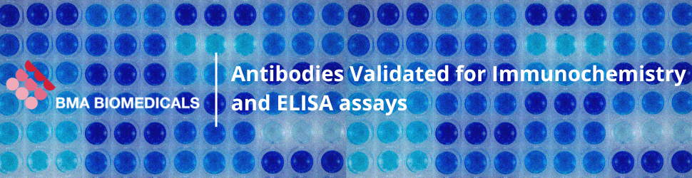 BMA Home Main banner