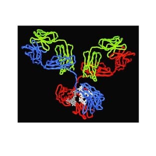 Genovis Antibody Design Tools avatar